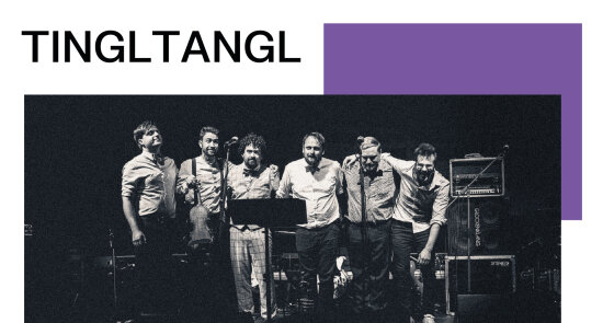 Koncert hudební skupiny Tingltangl
